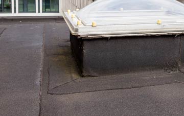 disadvantages of Cwm Plysgog flat roofs