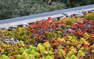 the cost of Cwm Plysgog green roof installation