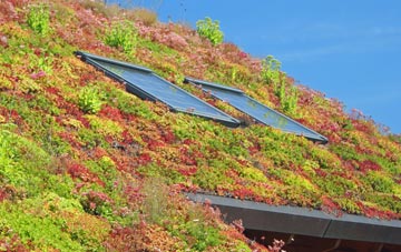 Cwm Plysgog living roof systems