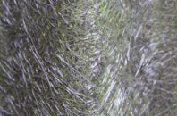 Cwm Plysgog fibreglass roof work